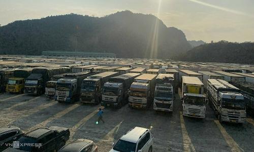 Tạm thời dừng đưa hàng hóa nông, lâm, thủy sản ra xuất khẩu tại các cửa khẩu, lối mở biên giới tỉnh Quảng Ninh