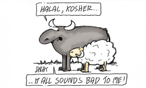 Tiêu chuẩn Halal và Kosher là gì? Sự khác biệt giữa Halal và Kosher